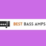 Best Bass Amps In 2024